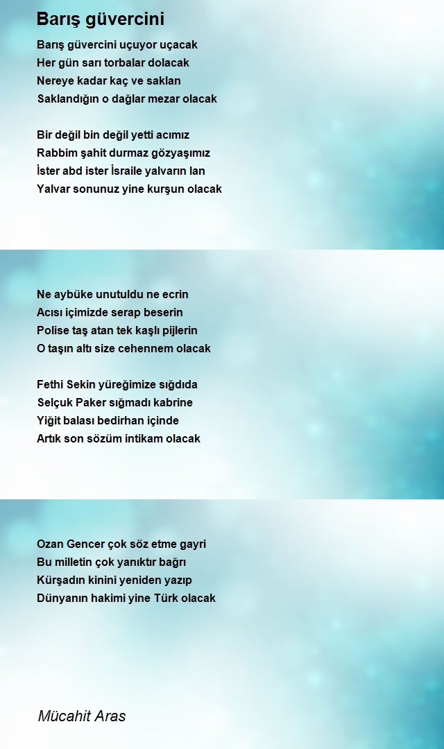 Mücahit Aras