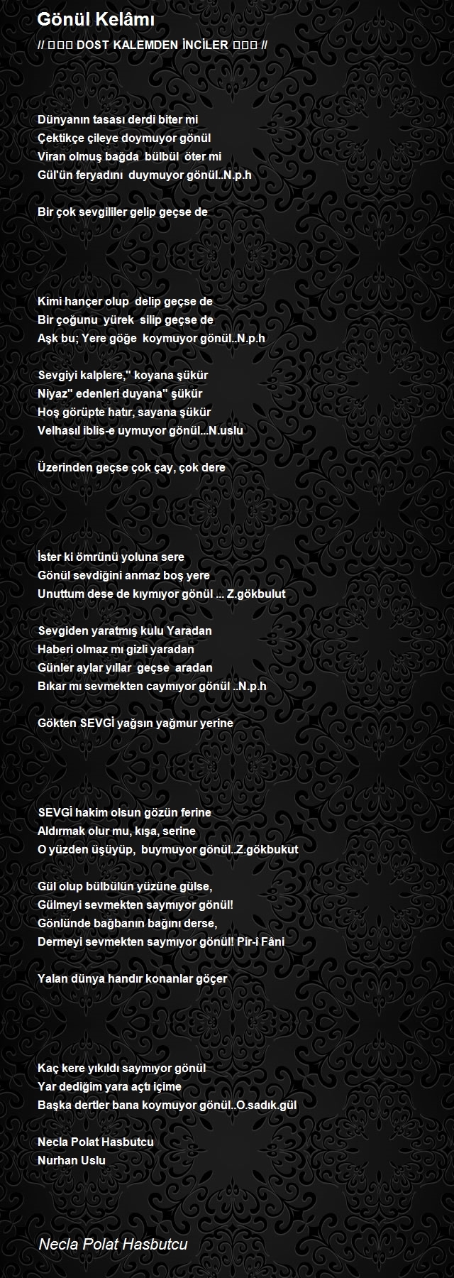 Necla Polat Hasbutcu