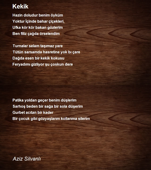 Aziz Silvanlı