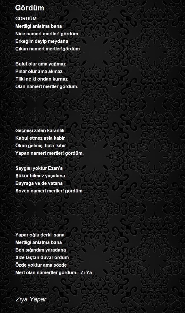Ziya Yapar