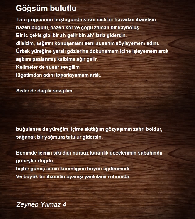 Zeynep Yılmaz 4