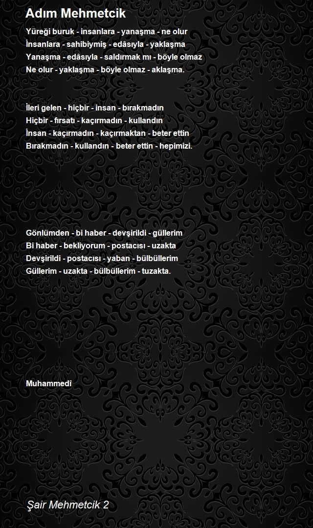 Şair Mehmetcik 2
