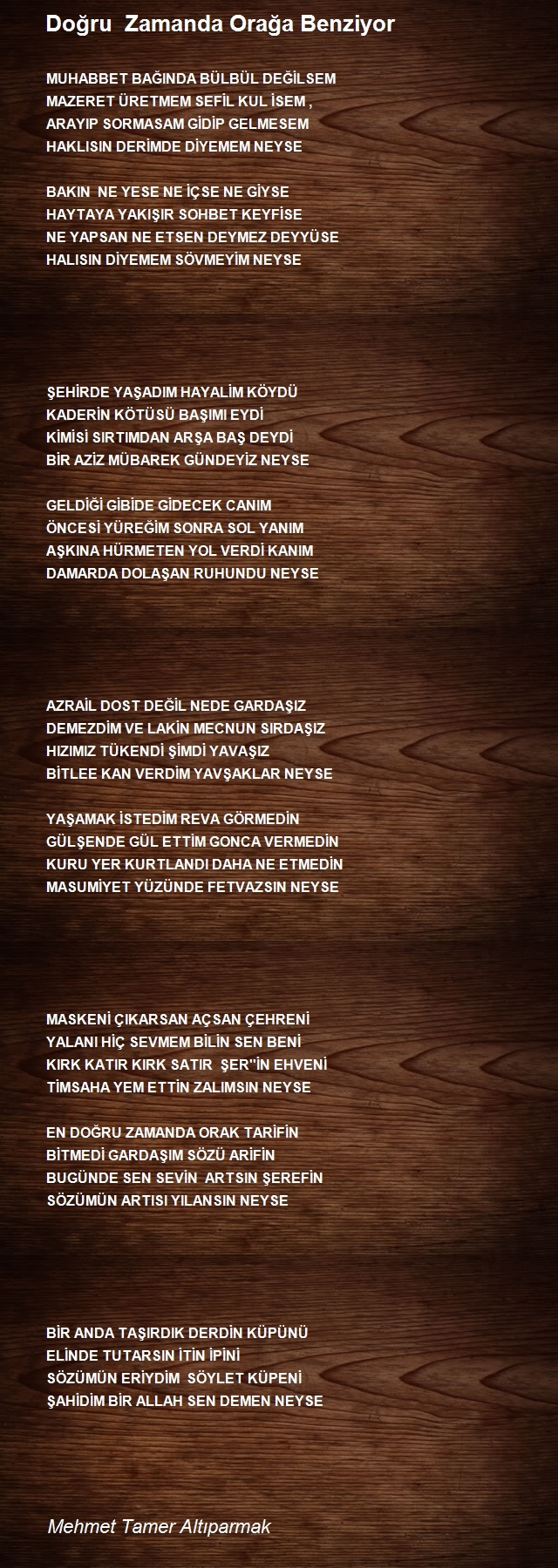 Mehmet Tamer Altıparmak