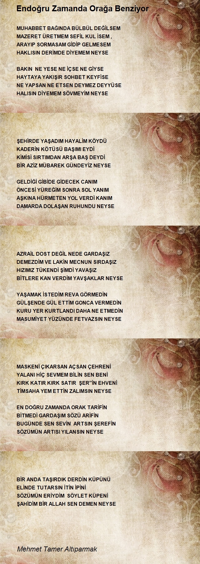 Mehmet Tamer Altıparmak