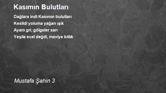 Mustafa Şahin 3