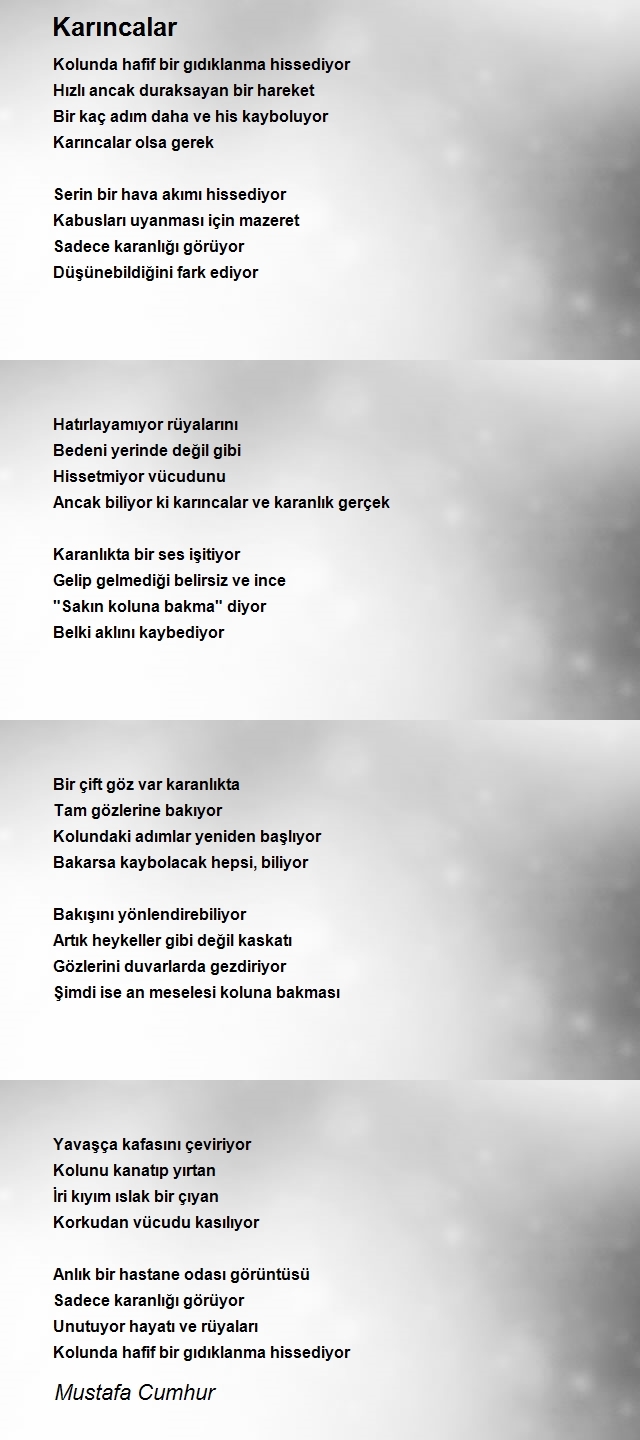 Mustafa Cumhur