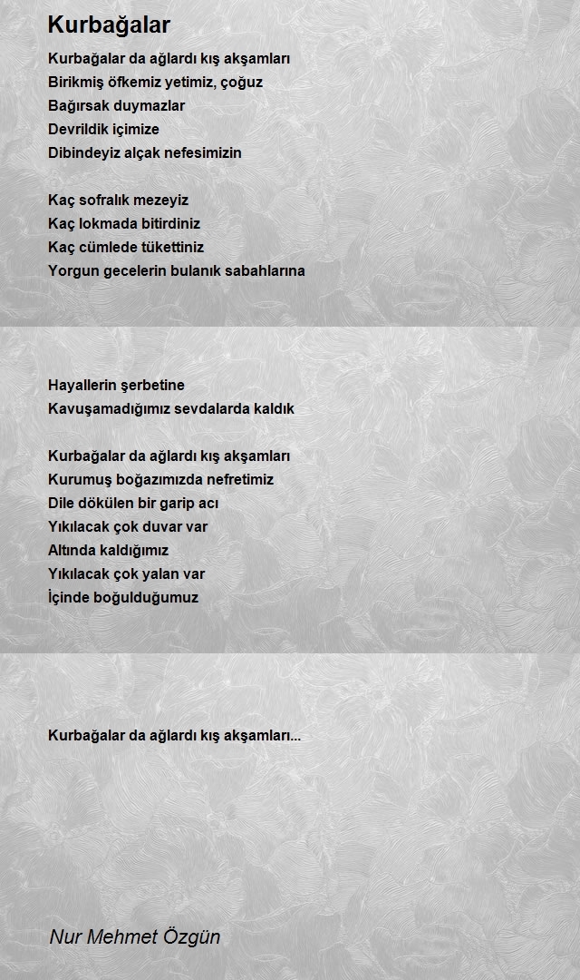 Nur Mehmet Özgün