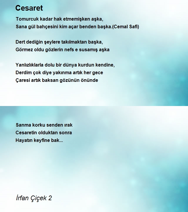 İrfan Çiçek 2