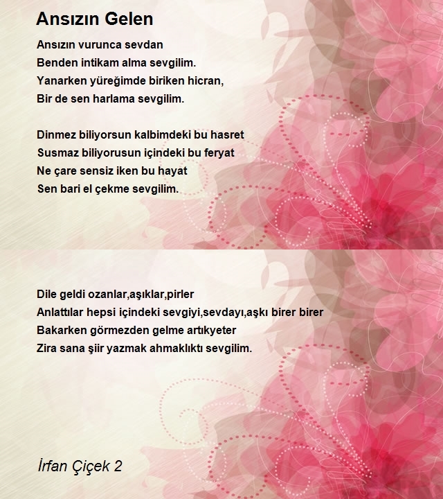 İrfan Çiçek 2