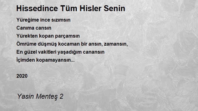 Yasin Menteş 2