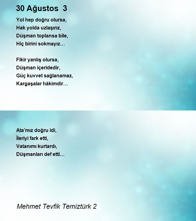 Mehmet Tevfik Temiztürk 2