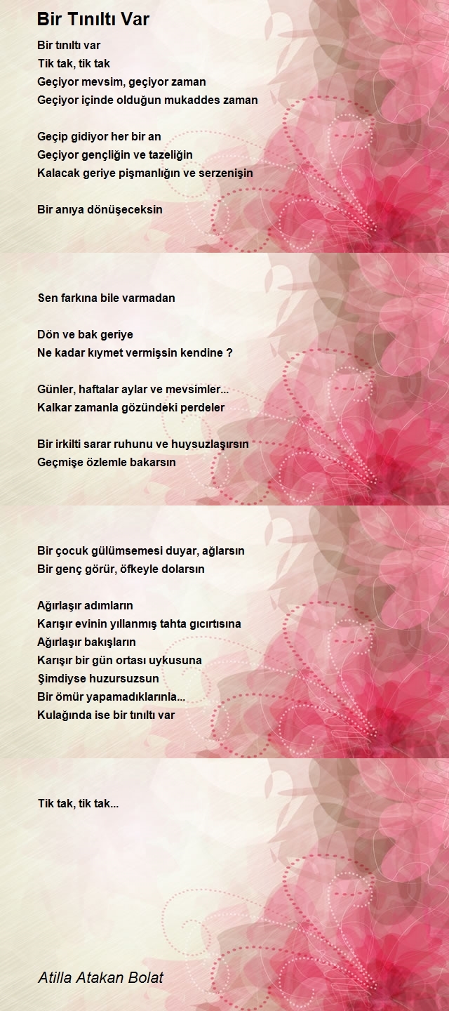 Atilla Atakan Bolat