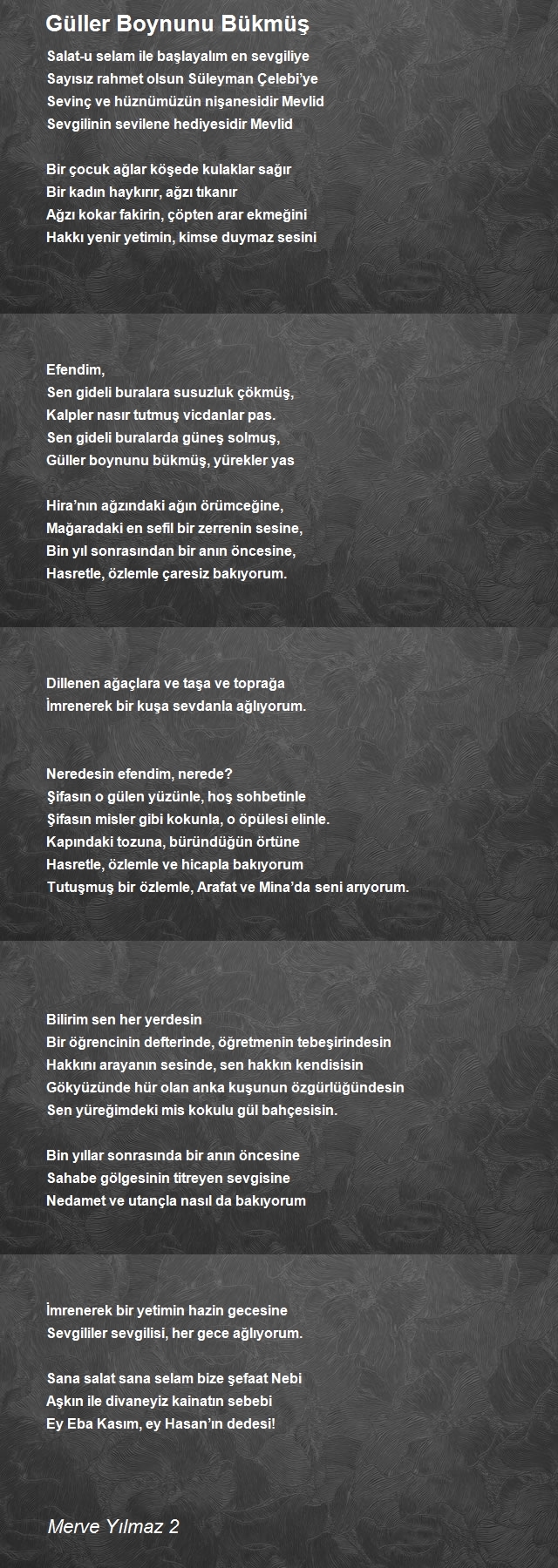 Merve Yılmaz 2