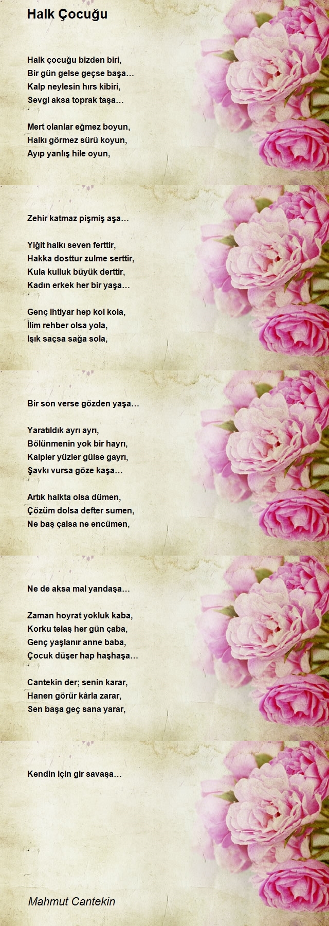 Mahmut Cantekin