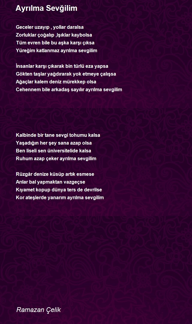 Ramazan Bilgin Çelik 2