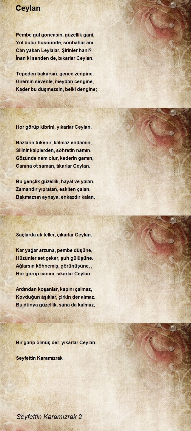 Seyfettin Karamızrak 2