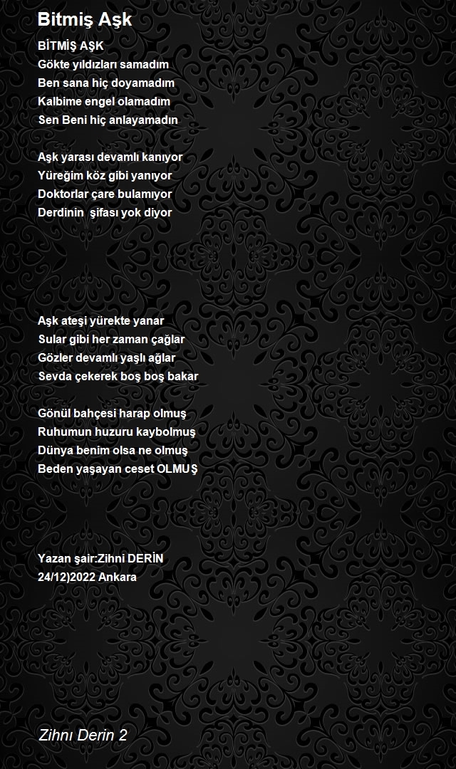 Zihni Derin