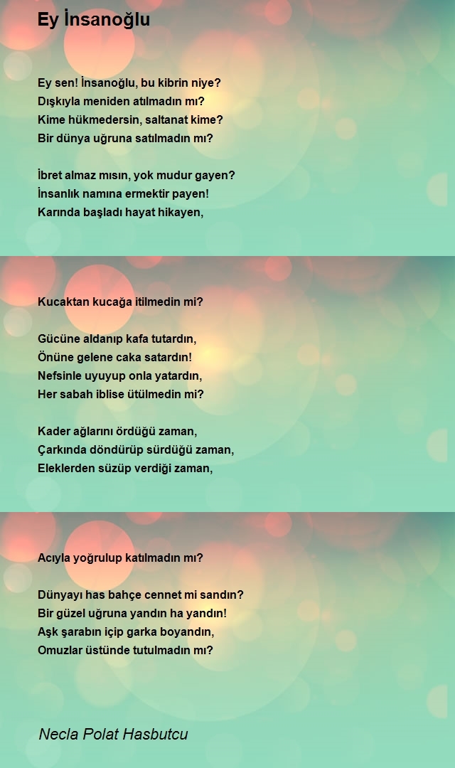 Necla Polat Hasbutcu