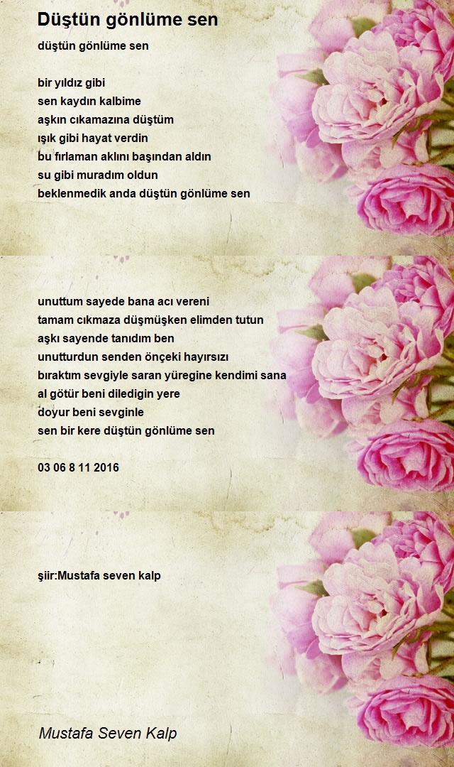 Mustafa Seven Kalp