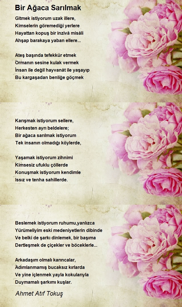 Ahmet Atıf Tokuş