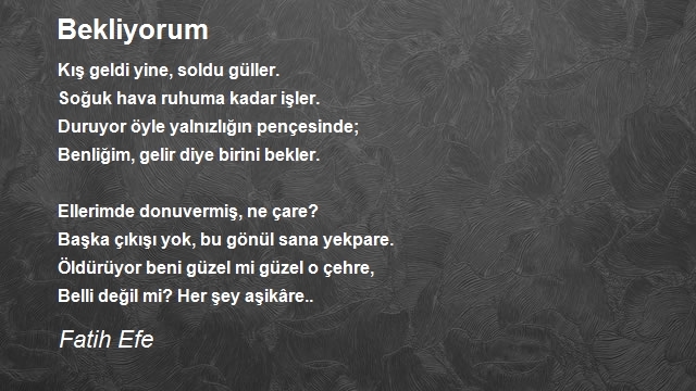 Fatih Efe