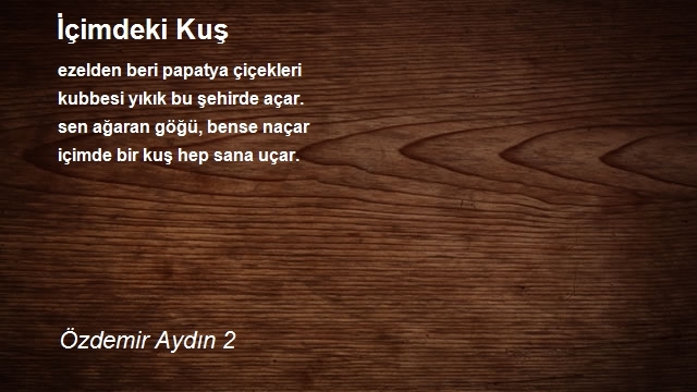 Özdemir Aydın 2