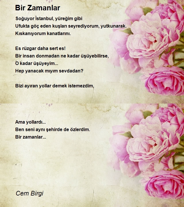 Cem Birgi