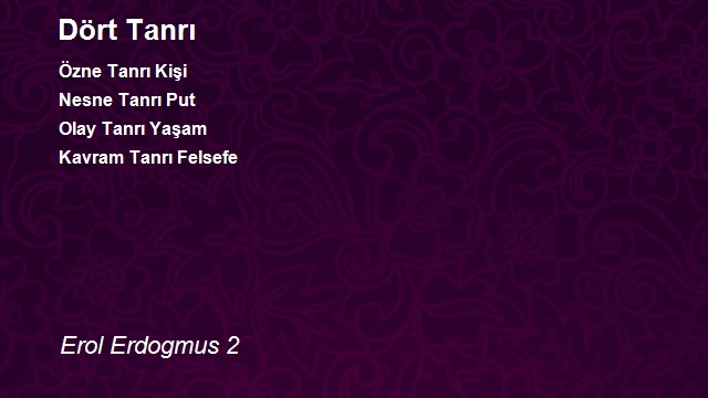 Erol Erdogmus 2