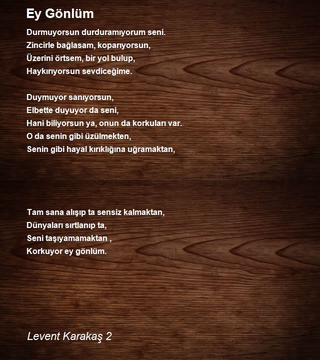 Levent Karakaş 2