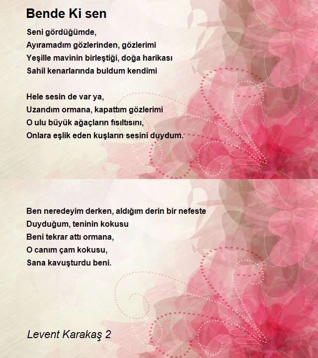 Levent Karakaş 2