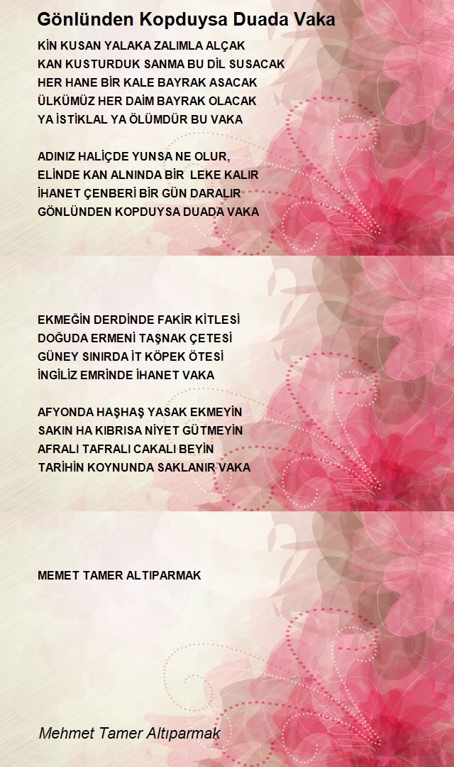 Mehmet Tamer Altıparmak