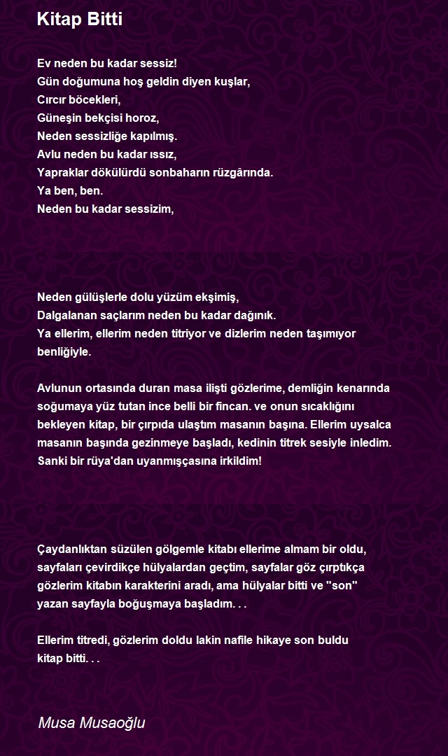 Musa Musaoğlu
