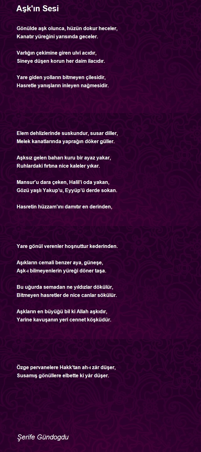 Şerife Gündogdu