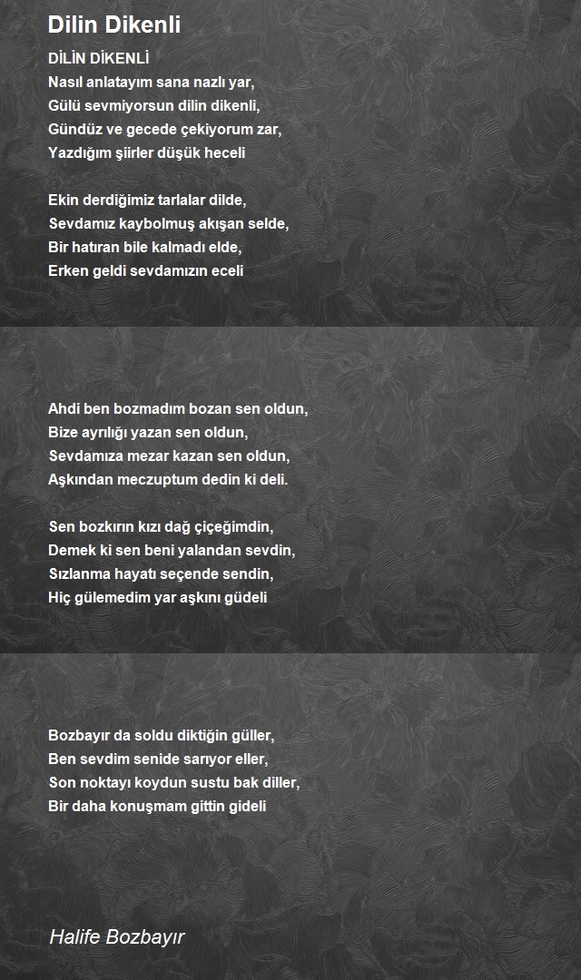Halife Bozbayır