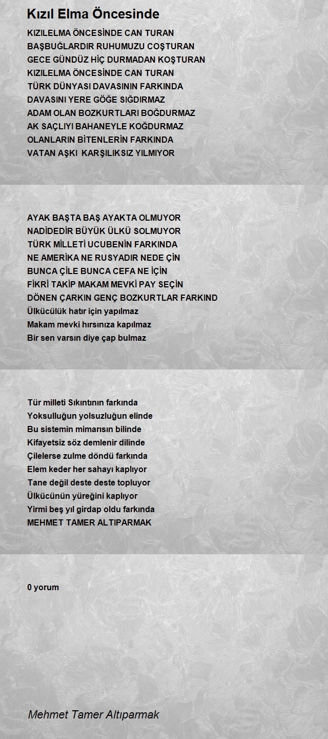 Mehmet Tamer Altıparmak