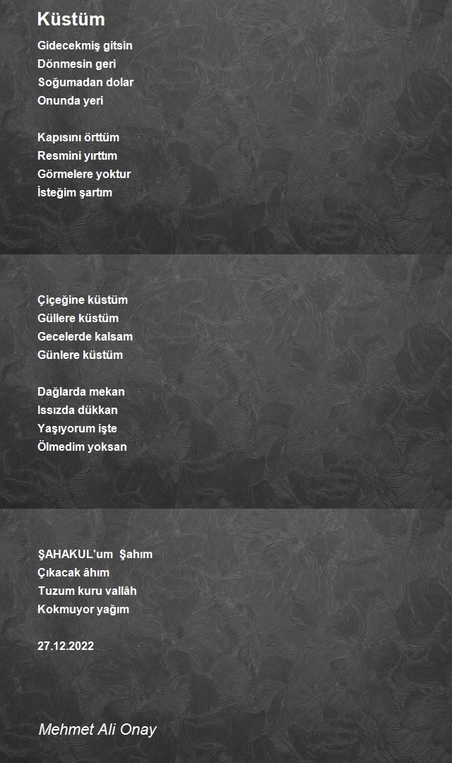 Mehmet Ali Onay