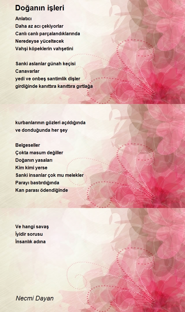 Necmi Dayan
