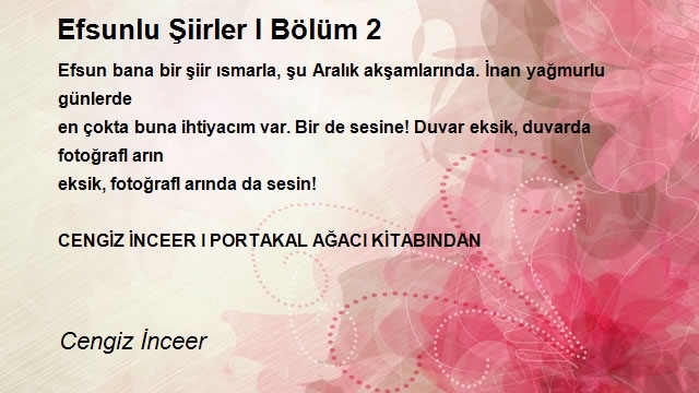 Cengiz İnceer