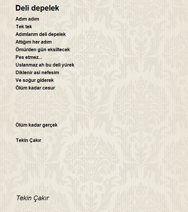 Tekin Çakır