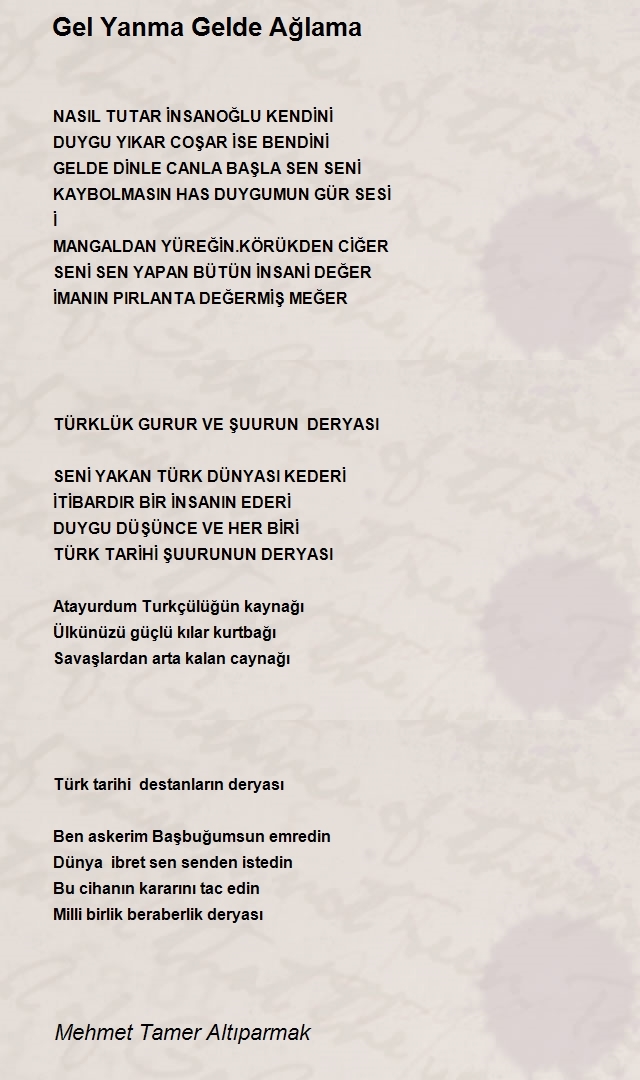 Mehmet Tamer Altıparmak