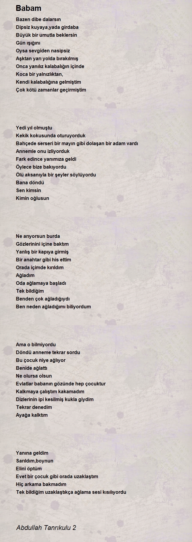 Abdullah Tanrıkulu 2