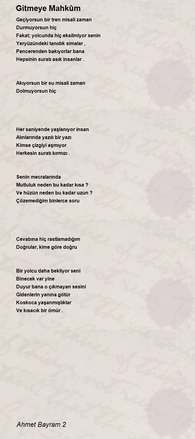 Ahmet Bayram 2
