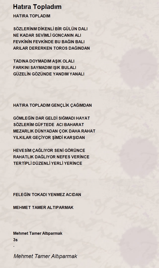 Mehmet Tamer Altıparmak