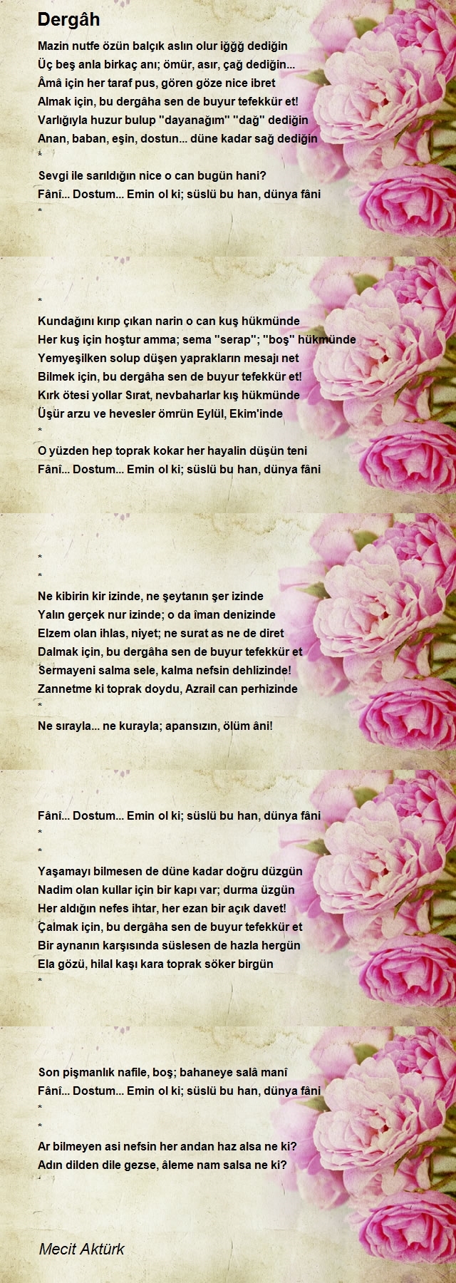 Mecit Aktürk