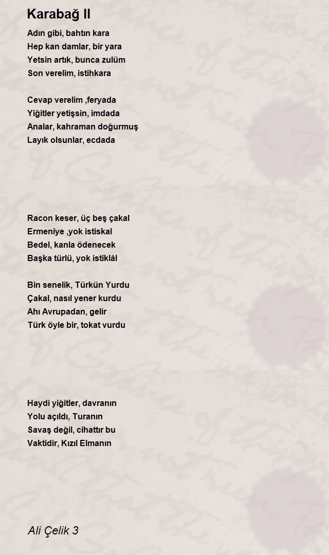 Ali Çelik 3