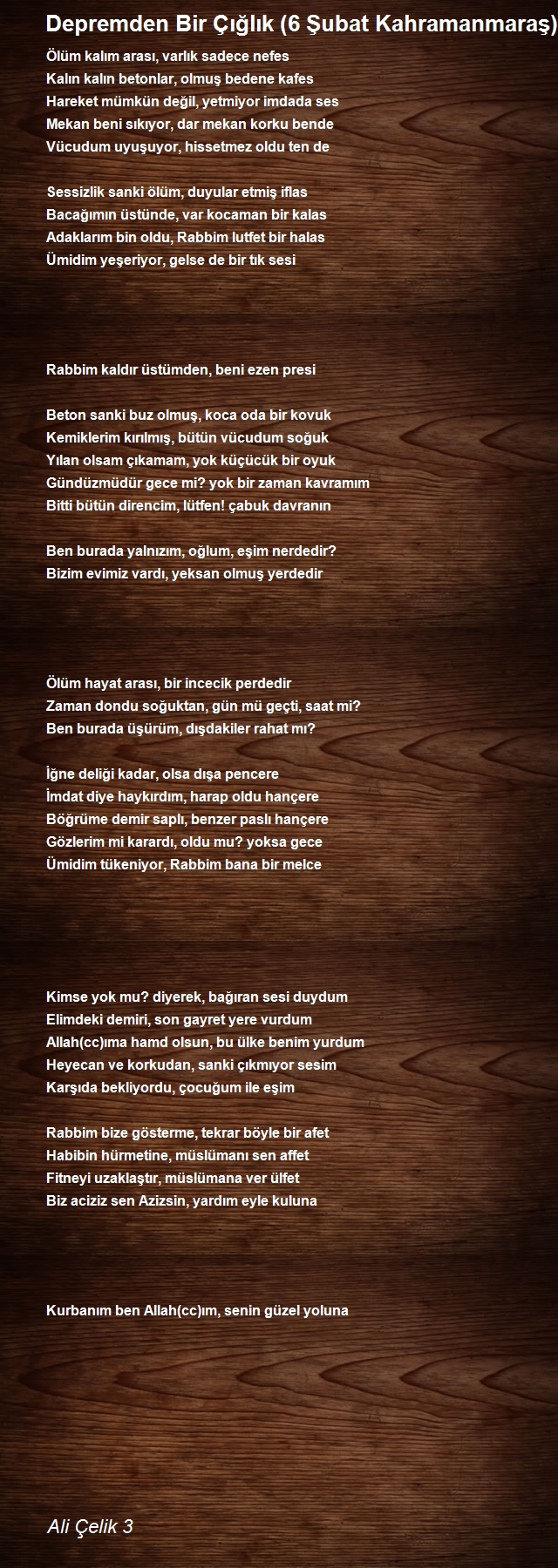 Ali Çelik 3