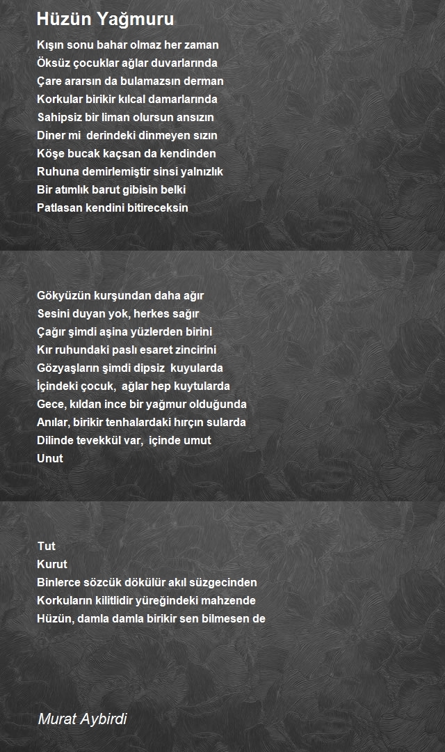 Murat Aybirdi