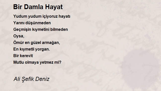 Ali Şefik Deniz