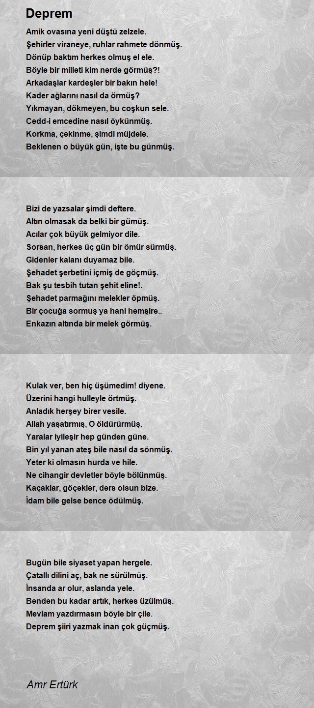 Amr Ertürk