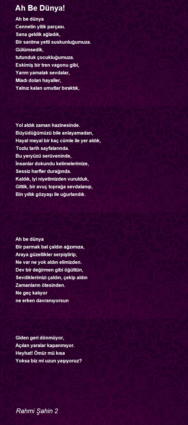 Rahmi Şahin 2